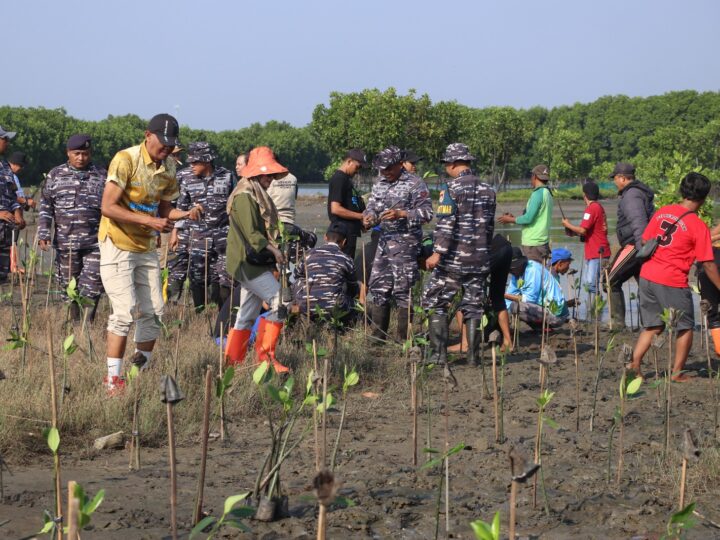 Untuk Mencegah Abrasi, Pemkab Brebes Tanam 3.700 Mangrove di Desa Randusanga Kulon Kecamatan Brebes