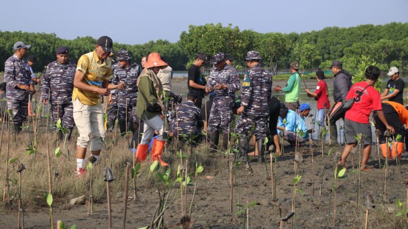 Untuk Mencegah Abrasi, Pemkab Brebes Tanam 3.700 Mangrove di Desa Randusanga Kulon Kecamatan Brebes
