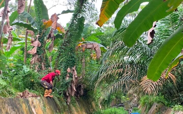 Tim SSDA PUPR Kobar Melakukan Pembersihan Saluran Induk.