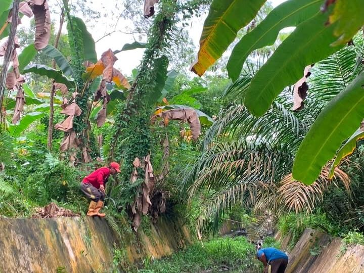 Tim SSDA PUPR Kobar Melakukan Pembersihan Saluran Induk.