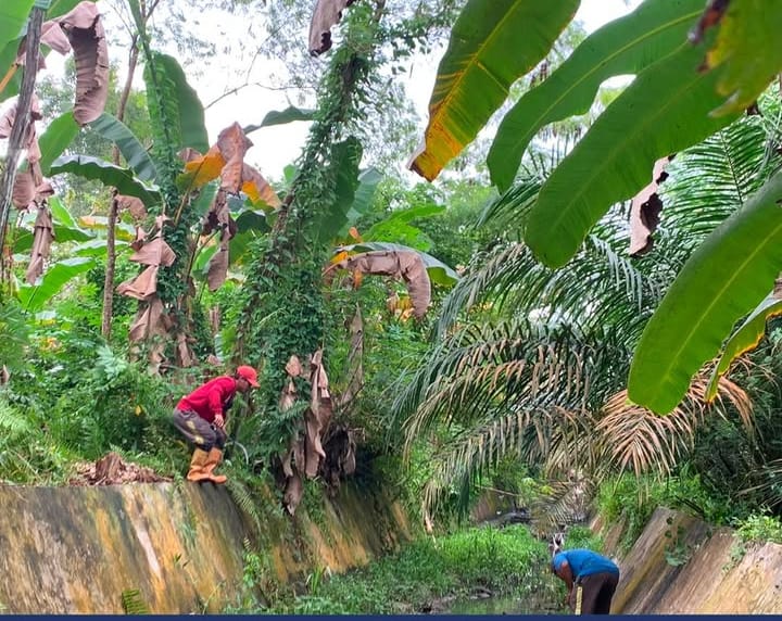 Tim SSDA PUPR Kobar Melakukan Pembersihan Saluran Induk.
