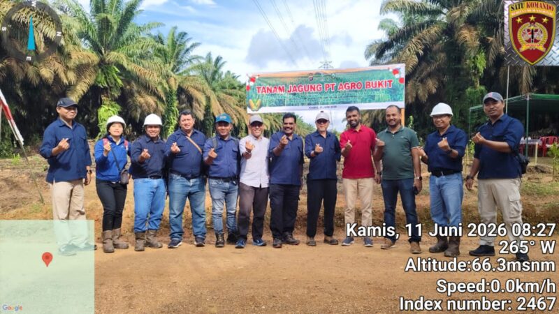 Dukung Ketahanan Pangan, PT Agro Bukit Tanam Jagung Seluas 4 Hektar di Telawang