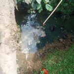 Pembuangan Limbah Bangkai Ayam ke Saluran Air Diduga Cemari Lingkungan di Wilayah X