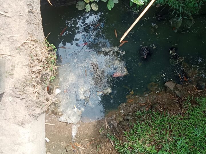 Pembuangan Limbah Bangkai Ayam ke Saluran Air Diduga Cemari Lingkungan di Wilayah X