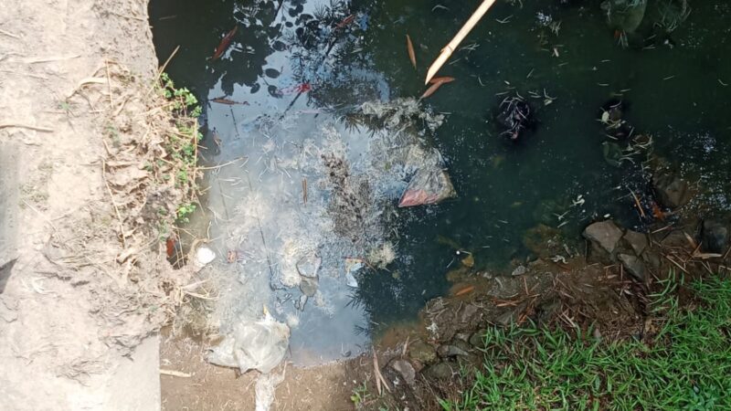 Pembuangan Limbah Bangkai Ayam ke Saluran Air Diduga Cemari Lingkungan di Wilayah X