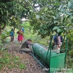 Sering Muncul di Pemukiman Warga Sungai Paring, Petugas Pos Sampit Pasang Perangkap Beruang Madu