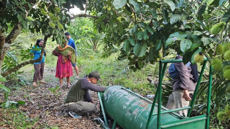 Sering Muncul di Pemukiman Warga Sungai Paring, Petugas Pos Sampit Pasang Perangkap Beruang Madu