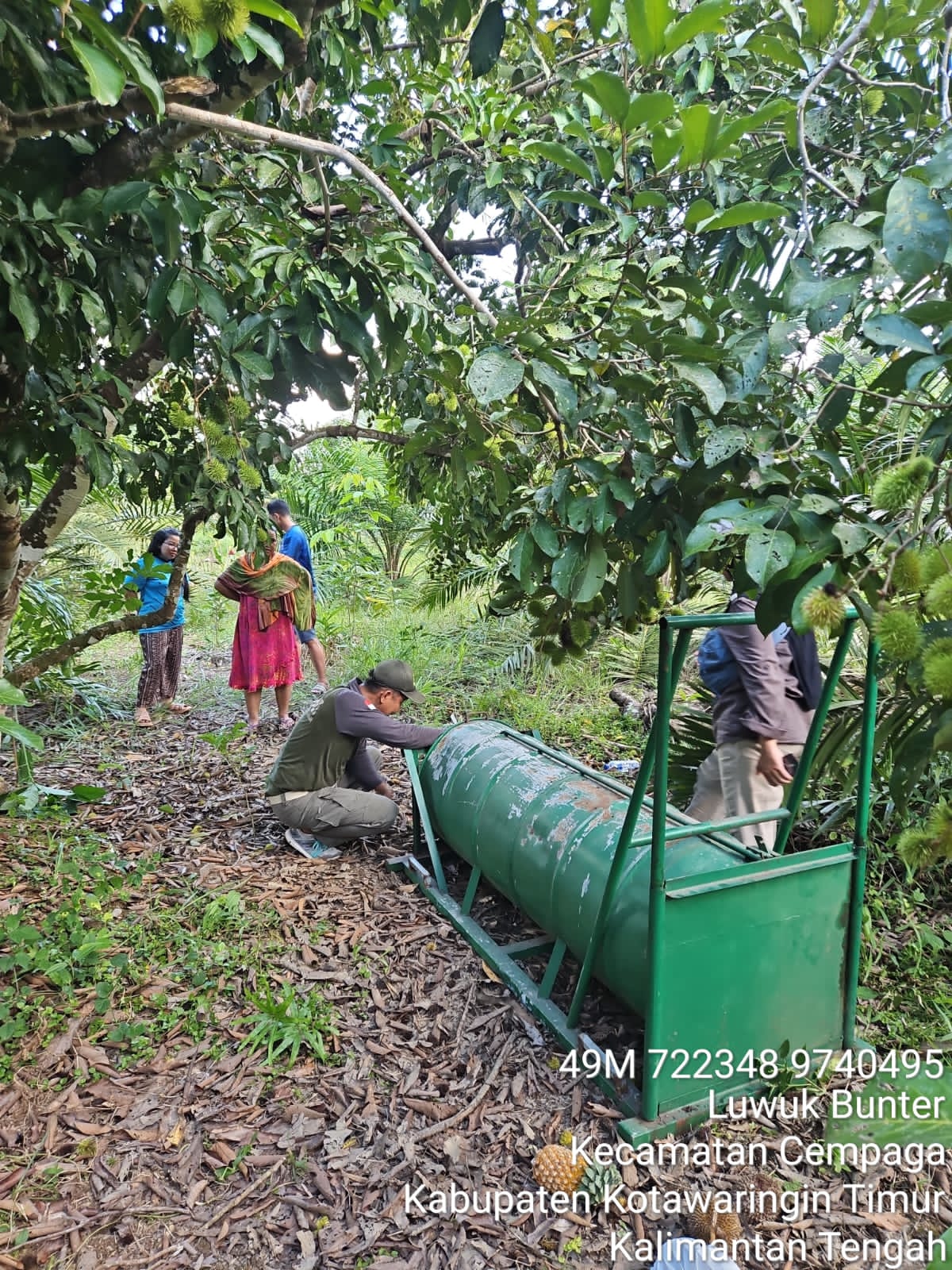 Sering Muncul di Pemukiman Warga Sungai Paring, Petugas Pos Sampit Pasang Perangkap Beruang Madu