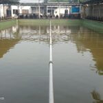 PEMBUKAAN RESMI PEMANCINGAN PMC RADEN 22, “Halo para sahabat pemancing, kabar gembira!
