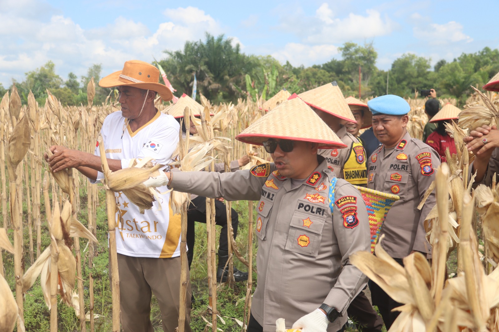 Dukung Ketahanan Pangan, Kapolres Kotim Hadiri Panen Jagung Kwartal II di Mentawa Baru Ketapang