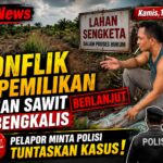 Sengketa Lahan Sawit di Pangkalan Libut Memanas, Pemilik Klaim Jadi Korban Penyerobotan dan Ancaman