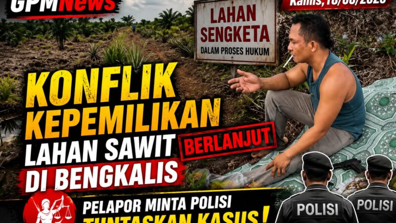 Sengketa Lahan Sawit di Pangkalan Libut Memanas, Pemilik Klaim Jadi Korban Penyerobotan dan Ancaman