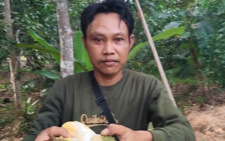 Memanjakan Lidah di Wisata Kebun Durian Acil Piyah: Sensasi Jatuhan Alami, Makan di Tempat Gratis !
