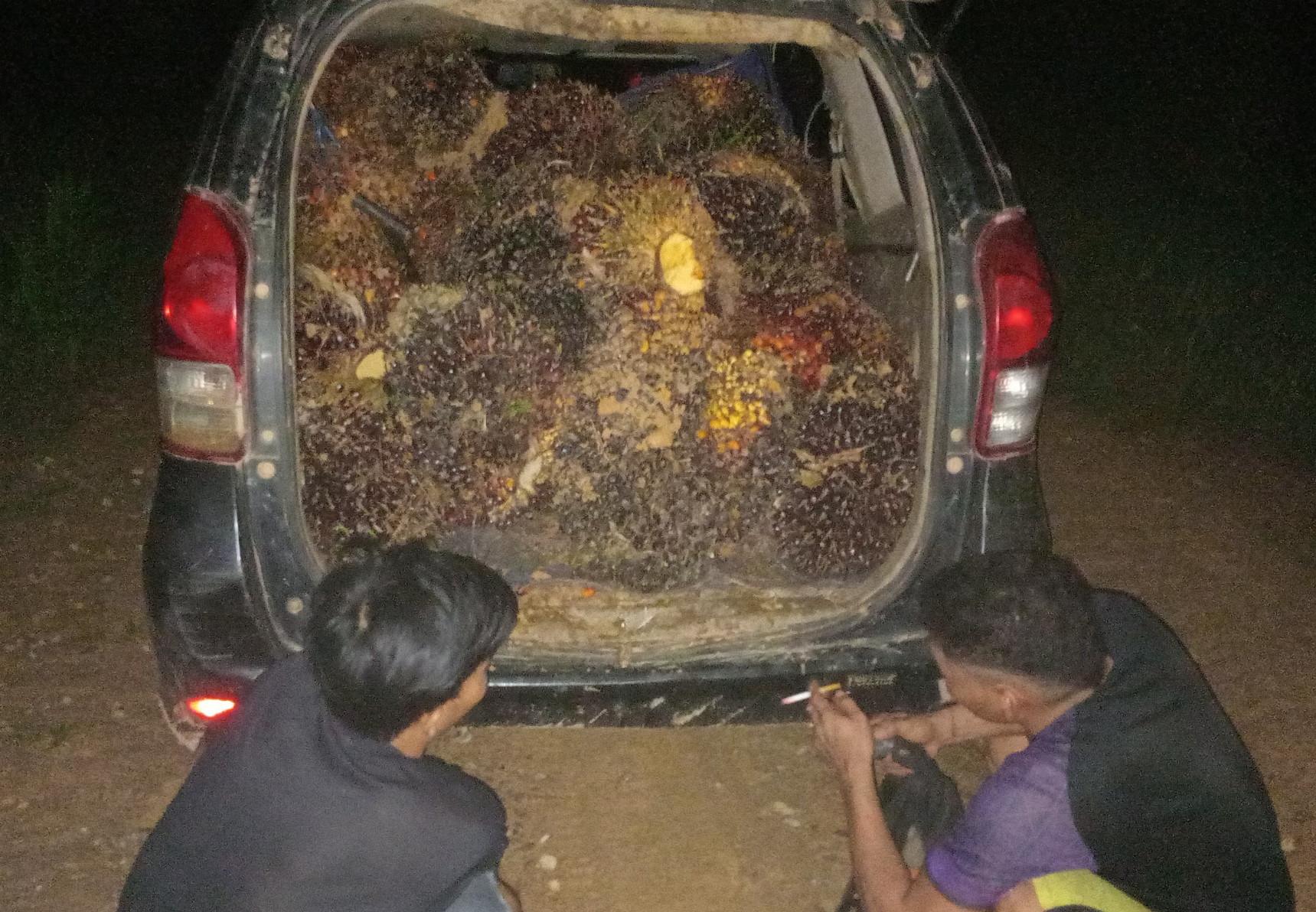 Gunakan Avanza Tanpa Nopol untuk Curi Sawit di PT KMB, Dua Pria Diringkus Polsek Antang Kalang