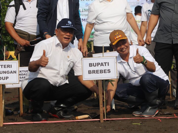 Cegah Abrasi dan Perkuat Kolaborasi Pulihkan Pesisir, Menteri LH Tanam Mangrove di Brebes