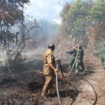Reaksi Cepat, Personel Kodim 1015/Sampit Bahu-Membahu Padamkan Kebakaran Lahan di Baamang Hulu
