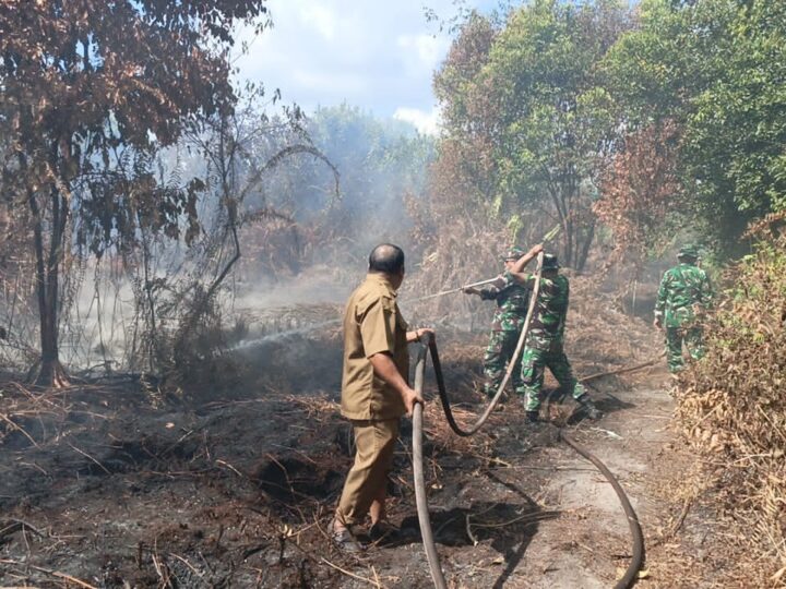Reaksi Cepat, Personel Kodim 1015/Sampit Bahu-Membahu Padamkan Kebakaran Lahan di Baamang Hulu