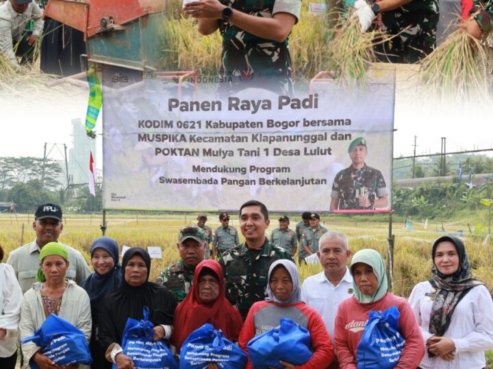 Dandim 0621/Kab. Bogor Letkol Inf Rizal Dwi Jayanto Pimpin Panen Raya Padi di Klapanunggal