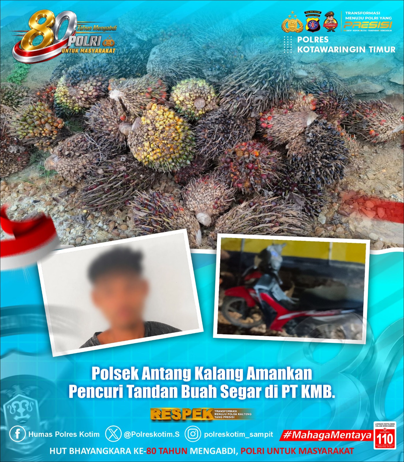 Polsek Antang Kalang Amankan Pencuri Tandan Buah Segar di PT KMB