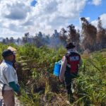 Cegah Karhutla Meluas, Polsek Sungai Sampit Bergerak Cepat Padamkan Titik Api di Lahan Kelompok Tani