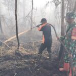 Gerak Cepat Anggota Kodim 1016/Plk Bantu Padamkan Api Karhutla