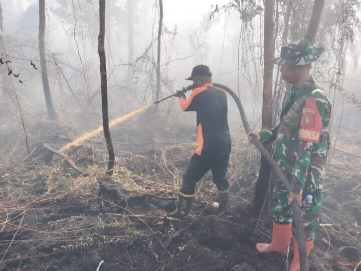 Gerak Cepat Anggota Kodim 1016/Plk Bantu Padamkan Api Karhutla