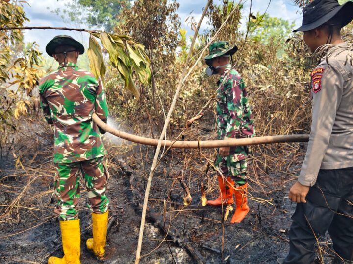 Cepat Tanggap Karhutla: Tim Gabungan Kodim 1016/Plk Padamkan Lahan Gambut di Kalampangan