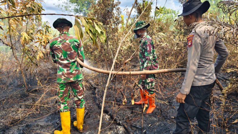 Cepat Tanggap Karhutla: Tim Gabungan Kodim 1016/Plk Padamkan Lahan Gambut di Kalampangan