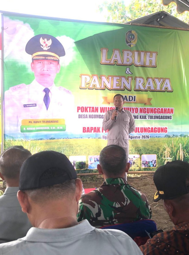 Dihadiri PLT Bupati Tulungagung Masyarakat Desa Ngunggahan Kecamatan Bandung Gelar Labuh Serentak dan Panen Raya Padi