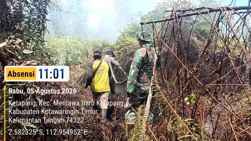 Peduli Wilayah, Babinsa MB Ketapang dan Baamang Turut Membantu Penanganan Karhutla di Kabupaten Kotim