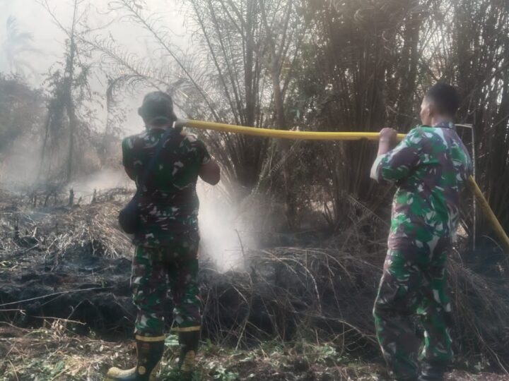 Gerak Cepat, Kodim 1015/Sampit Padamkan Api Kebakaran Hutan dan Lahan.