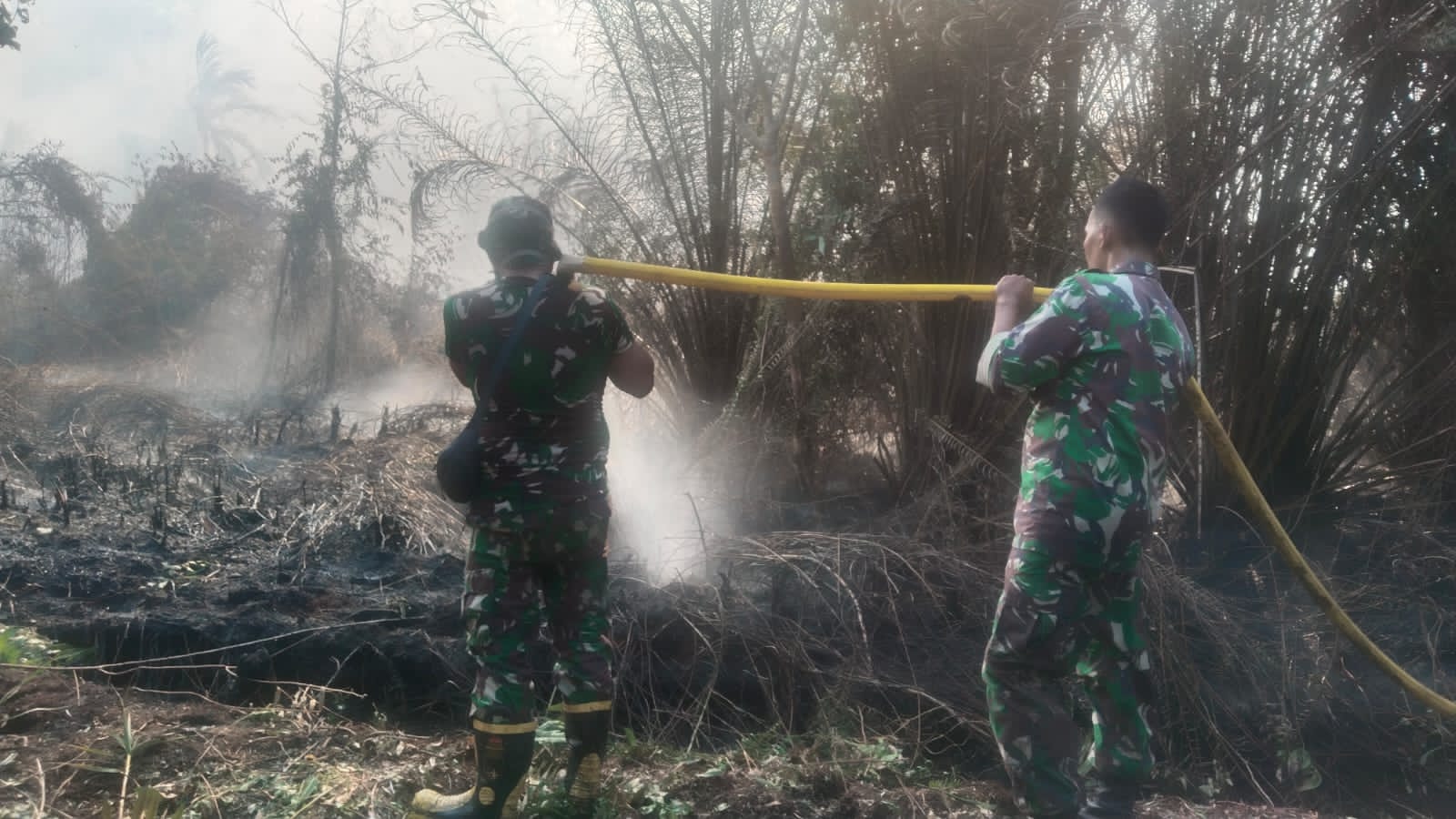 Gerak Cepat, Kodim 1015/Sampit Padamkan Api Kebakaran Hutan dan Lahan.