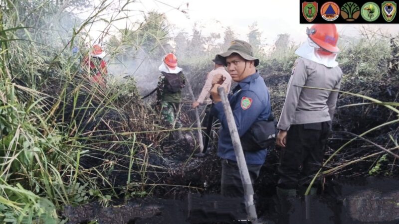Sinergi TNI dan Tim Gabungan Berhasil Padamkan 2 Hektare Karhutla di Seruyan