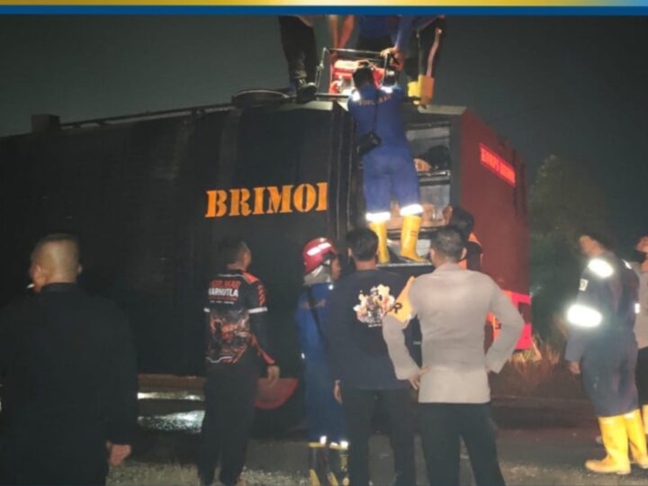 Api Kembali Berkobar di Tarakan, Tim SAR Brimob Kaltara Bergerak Cepat Jinakkan Karhutla