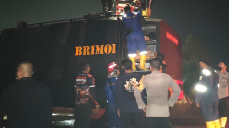 Api Kembali Berkobar di Tarakan, Tim SAR Brimob Kaltara Bergerak Cepat Jinakkan Karhutla