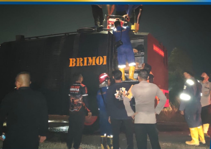 Api Kembali Berkobar di Tarakan, Tim SAR Brimob Kaltara Bergerak Cepat Jinakkan Karhutla