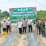 Dukung Ketahanan Pangan, Danramil 1015-07/Parenggean Hadiri Panen Jagung Serentak Kuartal III di Desa Sari Harapan