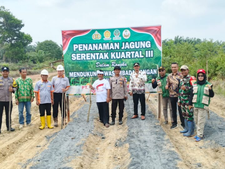 Dukung Ketahanan Pangan, Danramil 1015-07/Parenggean Hadiri Panen Jagung Serentak Kuartal III di Desa Sari Harapan