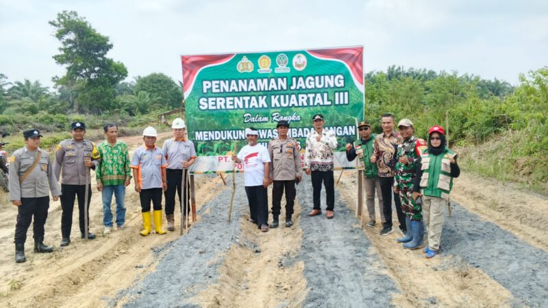 Dukung Ketahanan Pangan, Danramil 1015-07/Parenggean Hadiri Panen Jagung Serentak Kuartal III di Desa Sari Harapan