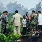 Presiden Tinjau Kesiapan Penanganan Kemarau dan Karhutla di Palangka Raya