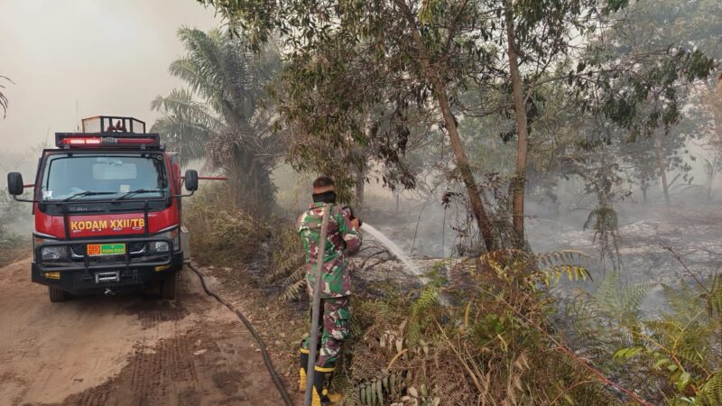 Satgas Karhutla Kodim 1016/Plk Bersama Tim Gabungan Berjibaku Padamkan Api