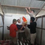 Penemuan Jenazah Pria Tergantung di Peternakan Ayam Desa Sebabi Gempar Warga