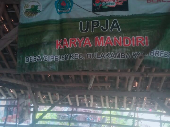 Petani Cipelem Kabupaten Brebes Keluhkan Tarif Sewa Mesin Pemanen Padi Bantuan Pemerintah Mahal