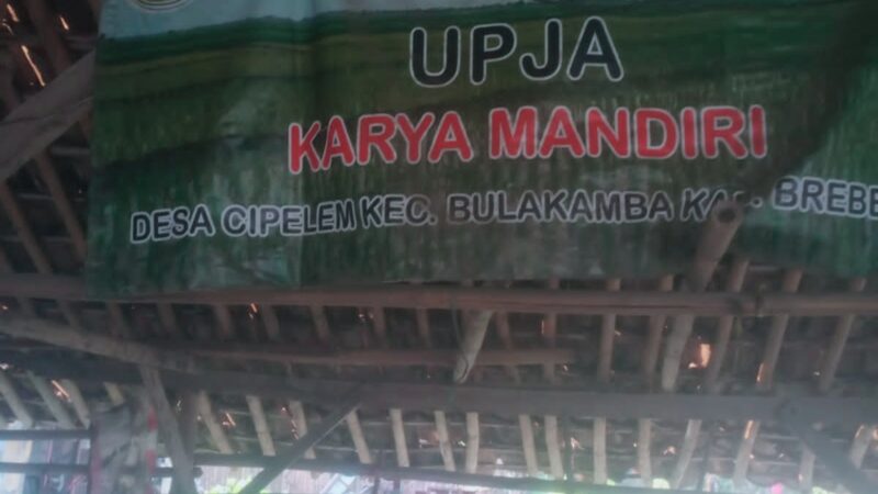 Petani Cipelem Kabupaten Brebes Keluhkan Tarif Sewa Mesin Pemanen Padi Bantuan Pemerintah Mahal