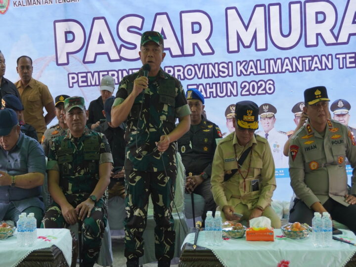 Sinergi TNI, Polri, dan Pemda: Pangdam XXII/TB Bersama Forkopimda Kalteng Tinjau Penanganan Karhutla di Kotim