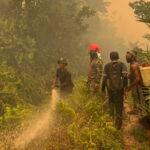 Danrem 121/Abw Turun Langsung Pemadaman Karhutla di Matan Hilir Ketapang.