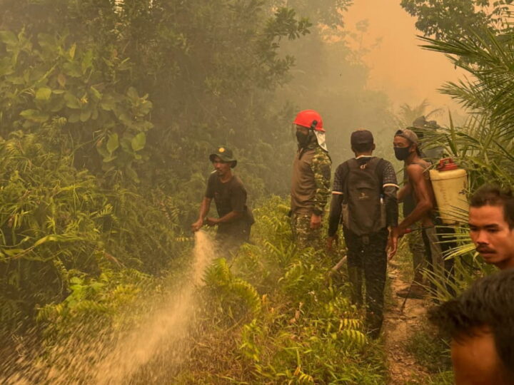 Danrem 121/Abw Turun Langsung Pemadaman Karhutla di Matan Hilir Ketapang.