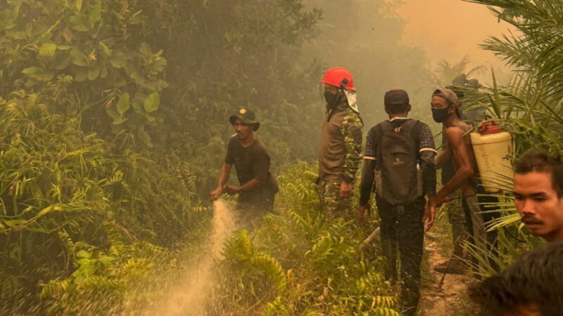 Danrem 121/Abw Turun Langsung Pemadaman Karhutla di Matan Hilir Ketapang.