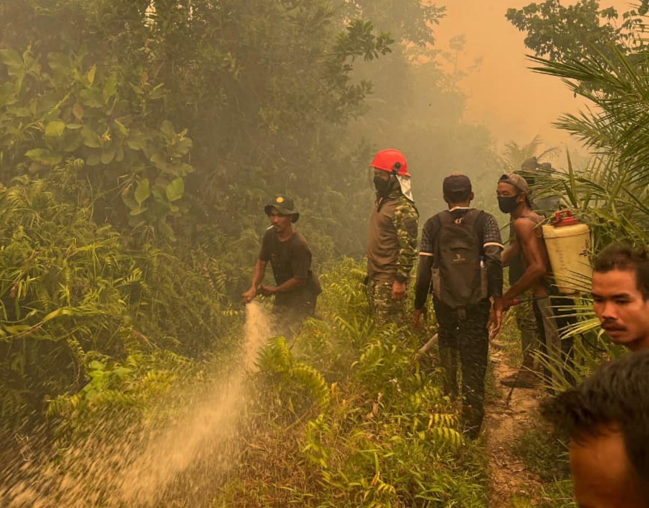 Danrem 121/Abw Turun Langsung Pemadaman Karhutla di Matan Hilir Ketapang.
