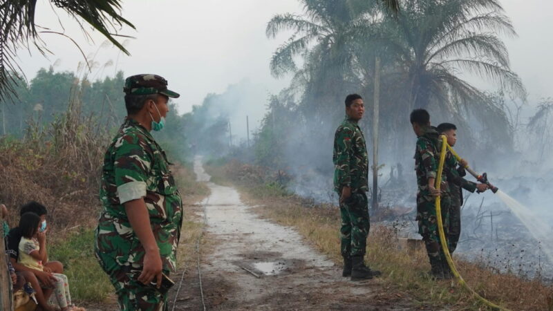 Komandan Kodim 1015/Sampit Pastikan Pemadaman Api Karhutla Benar-Benar Padam.
